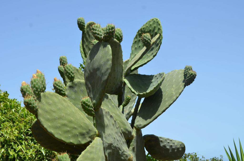 Baglio Poma Villa Castelluzzo Luaran gambar